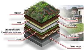 toiture vegetalisee toit vegetal roofing green roof architecture details