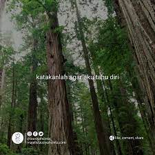 Katakanlah Jika Kau Telah Bosan Katakanlah Jika Kau Telah Jenuh Katakanlah Jika Kau Telah Lelah Katakanlah Agar Aku Tahu Diri Jangan Patah Hati Tahu Kutipan