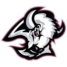 Buffalo Bills Vector Logo Download Free Svg Icon Worldvectorlogo We have 66 free buffalo bills vector logos, logo templates and icons.