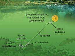 How To Fish For Trout Oregon Department Of Fish Wildlife