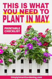 What To Plant In May Everything You Need To Know Plants May Garden Plant Roots