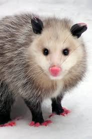 Today is my friend birthday and he is waiting for your wish🎂✨🎉🎈