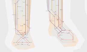 Regular price $45 00 $45.00. Human Anatomy Subway Map Cool Material