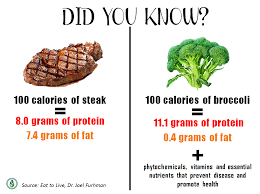Animal Vs Plant Protein How Do They Stack Up Vegetable
