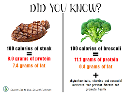 animal vs plant protein how do they stack up vegetable