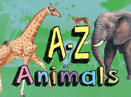 Learn about african animals with this list with facts a to z learn about some interesting animals from africa. A Z Of Animals Amber Books