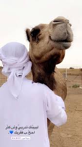 Pin By That Mvxd On Words Love Quotes Funny Quran Quotes Inspirational Cover Photo Quotes