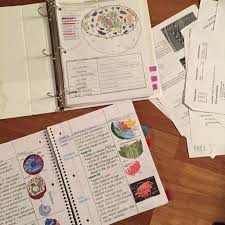 College And Musings Study Skills School Study Tips Study Organization