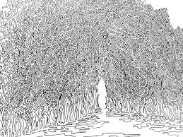 One Line Drawing Can Tho Mekong Delta Vietnam Oneliner Illustration Line Drawing Illustration Sketches Drawings