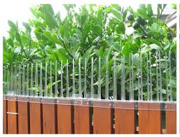 Spiked fence, spiked fence suppliers and manufacturers at. Buy Online Thorny Devil Possum Spikes Demak