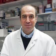 Les douleurs abdominales aiguës sont une des premières causes de consultation aux urgences. Meningite A Meningocoques Mal De Ventre Un Symptome Qui Doit Alerter Institut Pasteur
