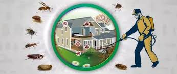 Avid pest services is leading pest removal service provider in hamilton. Avid Pest Control Home Facebook