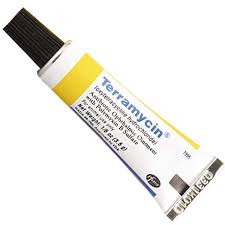 Pfizer Terramycin Antibiotic Ointment For Dogs Can Be Used To Treat Dogs With A Variety Of Eye Infections Including Conjunctivi Cat Health Ointment Antibiotic