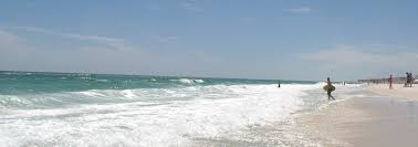 10,348 likes · 43 talking about this · 2 were here. Can I Take My Dog To The Beach In Destin Destin Florida Beach Things To Do