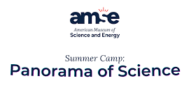 AMSE Summer Camp: The Panorama of Science