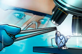 Ripple has strong defenses against a lawsuit alleging it violated securities laws by selling xrp, but the road ahead is long, legal experts said. 3 Reasons Why Xrp Price Can Continue To Fall After A 63 Crash In Four