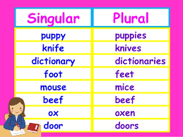 Contoh kalimat irregular singular nouns. Pengertian Contoh Singular Dan Plural Dalam Bahasa Inggris