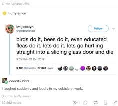 Birds Do It Bees Do It Even Educated Fleas Do It Tweet Pin By Olivia Sevits On Funny Tumblr Funny Funny Stupid Funny