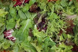 We did not find results for: Sowing Timeline For Vegetables Charles Dowding