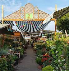 Mondo verde garden center | 43 follower su linkedin. Mondo Verde Home Facebook