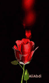 Maybe you would like to learn more about one of these? Flower Love Gifs Tenor