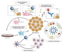 Stem cell treatment for mesothelioma. Marko Nikolic Drmarkonikolic Twitter