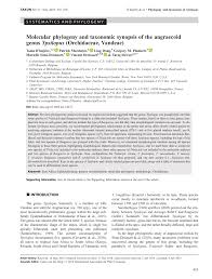 Image result for Tridactyle eggelingii