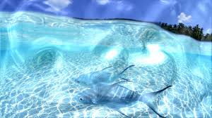 You can also upload and share your favorite hd gif wallpapers. 50 Moving Water Wallpaper Desktop On Wallpapersafari