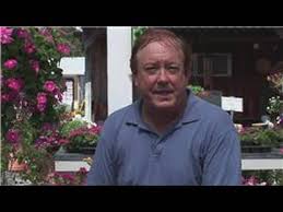 We did not find results for: Gardening From Seeds How To Grow Clematis From Seed Youtube