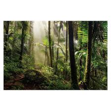 Image result for Terrarium Cling Background