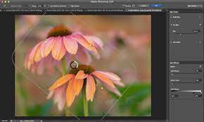 Photoshop Cs6 Blur Gallery Tutorial Digital Photography Review