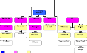 business information systems assignment a level business