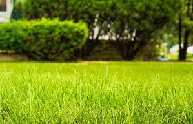 If you don't have the time for aeration then you can hire a professional lawn care service to do the job for you. Big Horse Lawn Care Services Serving The Clarksville Tn Oak Grove Ky Neighborhoods Offering Lawn Care Mulching Fertilization Lawn Aeration Overseeding As Well As Pressure Washing Services