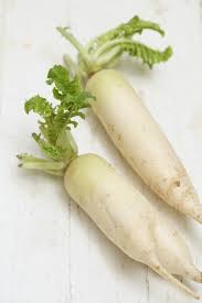 Kami katakan beristri karena peruntukan bawang putih tunggal ini hanya boleh dipakai khusus tujuan hubungan dengan istri atau pasangan yang sah. Pengobatan Dan Khasiat Herbal Khasiat Lobak Putih