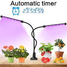 Lovebay timing function dual head grow light 36led 5 dimmable levels grow lamp bulbs with adjustable 360 degree gooseneck for indoor plants hydroponics greenhouse gardening 2019 upgraded brand: Buy Lovebay Grow Light Auto Turn Onoff 40 Led Dual Head Plant Grow Light With Redblue Spectrum Adjustable Gooseneck 5 Dimmable Levels For Indoor Plants Hydroponics Greenhouse Online In India B07yp2ycxg