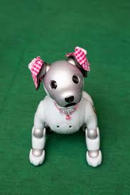 Check spelling or type a new query. Aibo People In Japan Learn To Love Their Robot Dogs And Be Loved Back