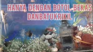 Hiasan aquarium jenis plastik juga umumnya relatif murah dan bisa. Cara Membuat Hiasan Aqua Rium Dari Barang Bekas Lihat Hasil Nya Kalian Pasti Kaget Youtube