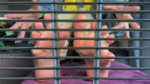 Goddess Chloe Love Clip Store 4K Submissive Man Affirmations Cage POV Feet  Worship Gooning Binaural