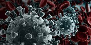 1, however, the city's health commissioner did report that there was a test being performed on a person under 40 who had returned from china, developed matching symptoms, and tested negative to the seasonal flu. Who Declares Public Health Emergency On Novel Coronavirus Paho Who Pan American Health Organization