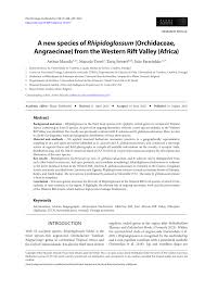 Image result for Liparis odontochilos