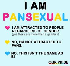 The originally etymology of bisexual is: Trans Army Our Pride Note Every Battle Axe Bi Invalidating Pansexuality Will Get Banned The Current Definitions Are Pansexuality Attraction Regardless Of Gender Bisexuality Attraction To Two Or More Genders Omnisexuality Attraction