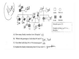 Pedigree analysis practice problems with answers. Pedigree Worksheet Biology Answers Nidecmege