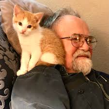 Barview township before and after storm damage