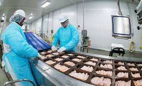 Contoh Kegiatan Produksi Dalam Kegiatan Ekonomi Beserta Penjelasannya Kumparan Com