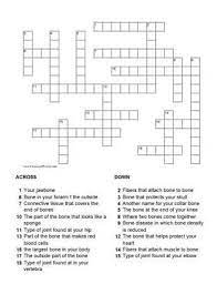 10000+ results for 'anatomy crossword'. Skeletal System Crossword Puzzle Skeletal System Crossword Puzzle Skeletal System Anatomy