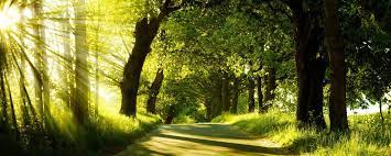 Nature free photos for free download. Wallpapers Natur Wallpaper Cave