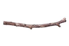 Image result for stick
