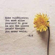 Quotes About Watching A Family Grow Quotesgram