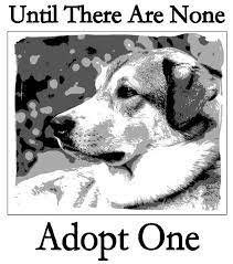 If you see a pet you are interested in adopting, please send a screenshot photo of the we are an all foster based rescue and do not have a physical location where all the pets are kept to be seen at once. Save A Life Adopt A Pet For Oliver Pet Adoption Animals Animal Advocacy
