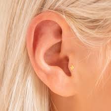 Image result for Tragus